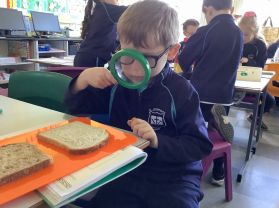 Investigating Bread 🍞🥖🥐🥪