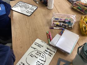 Burns Mental Health Programme