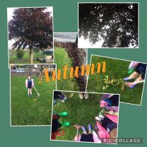 Signs of Autumn in our local area 