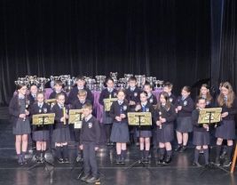 Newry Feis Primary 6 Success