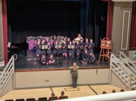 Newry Feis Primary 5 Success