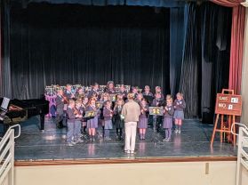 Newry Feis Primary 4 Success