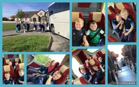 P2 trip to Armagh Palace Stables